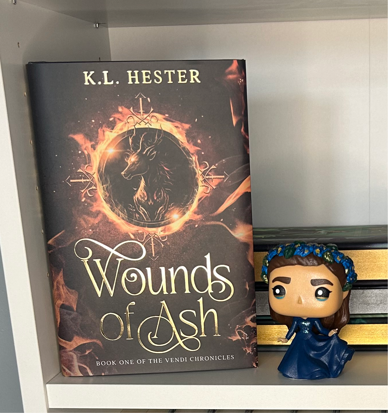 Special Edition Book 1: Wounds of Ash Hardback
