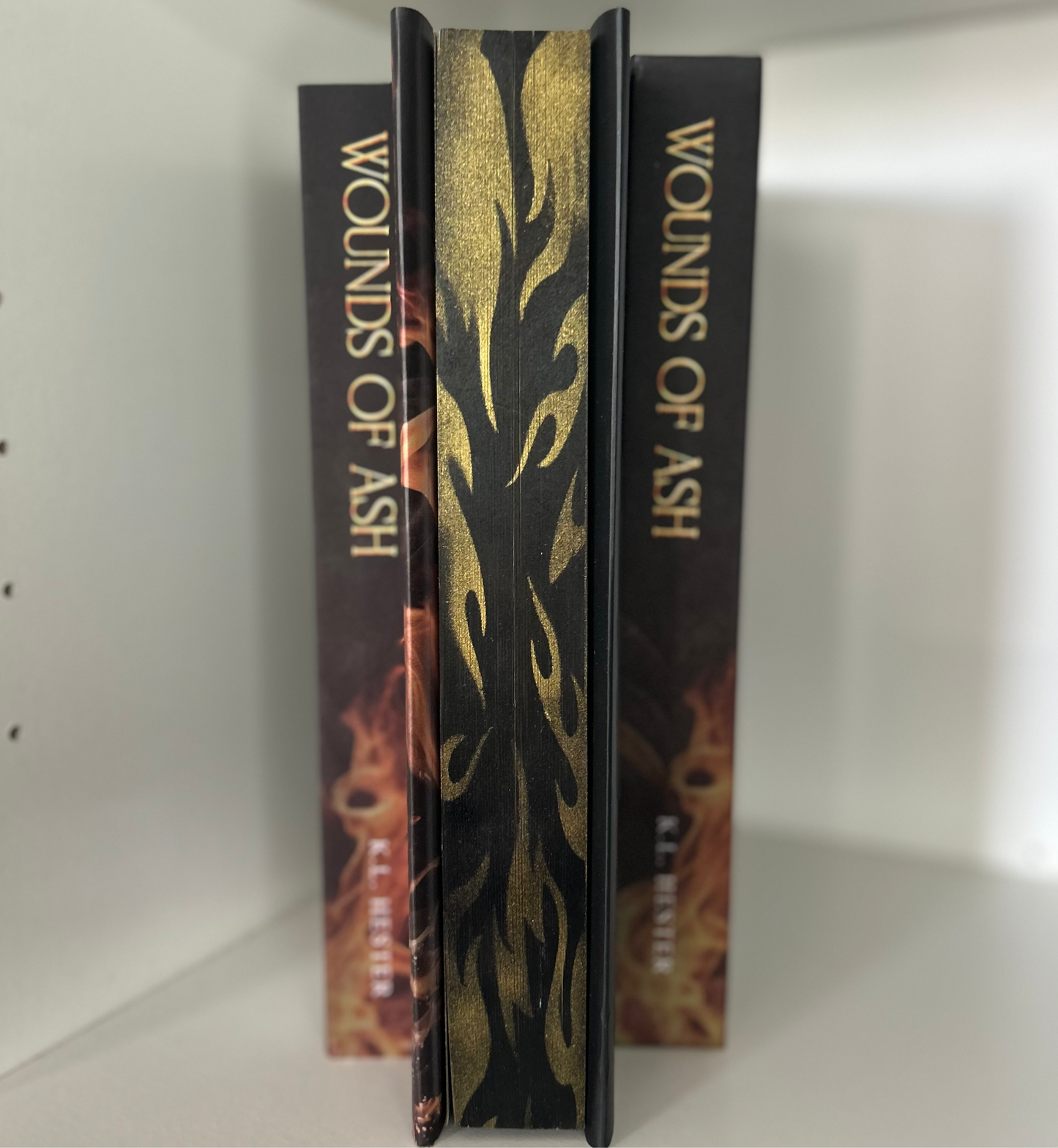 Special Edition Book 1: Wounds of Ash Hardback